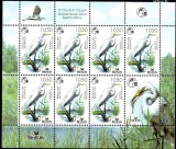 BELARUS 2008, Fauna, Pasari, serie neuzata, MNH, Nestampilat