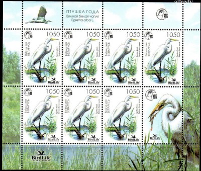 BELARUS 2008, Fauna, Pasari, serie neuzata, MNH foto