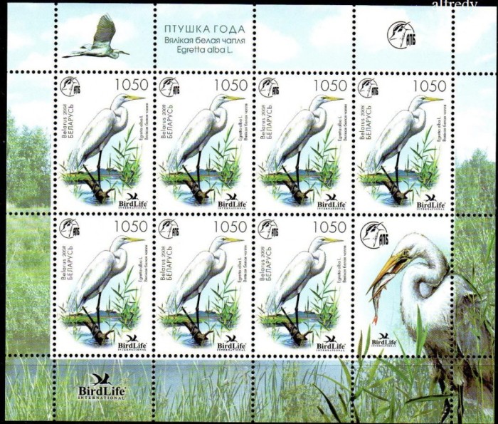 BELARUS 2008, Fauna, Pasari, serie neuzata, MNH