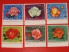 KHOR FAKKAN, TRANDAFIRI SUPRATIP. - SERIE COMPLETĂ MNH, Nestampilat