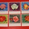 KHOR FAKKAN, TRANDAFIRI SUPRATIP. - SERIE COMPLETĂ MNH
