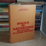 RAICU CRISTINA - BOLILE SI DAUNATORII DIN CULTURILE DE LEGUME PROTEJATE , 1982 *