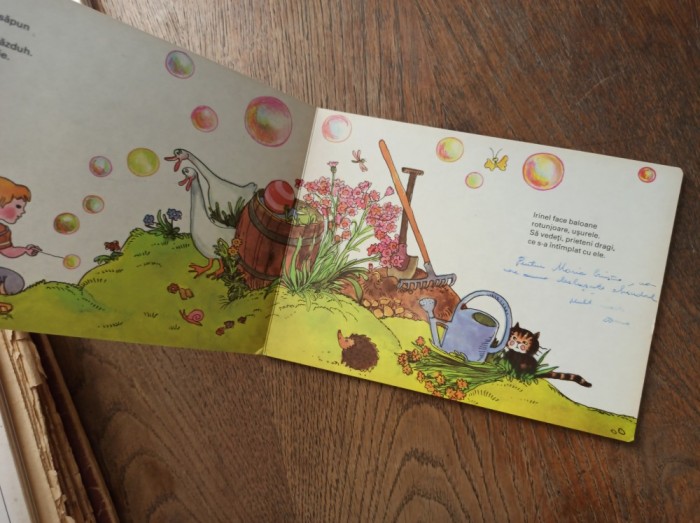 BALOANE DE SAPUN-IRENE GEILING, 1984