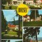 CPIB 15171 - CARTE POSTALA - BORSEC, mozaic