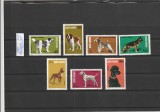 ROMANIA 1981 LP 1024 EXPOZITIA NATIONALA CANINA SERIE MNH NESTAMPILATA