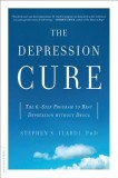 The Depression Cure: The 6-Step Program to Beat Depression Without Drugs