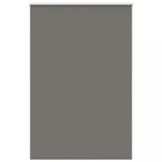 vidaXL Jaluzea cu role opace gri 165x210 cm Lățime material 161,6 cm 4011193
