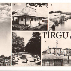 CPIB 16451 CARTE POSTALA - TARGU JIU. MOZAIC, RPR