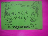 HOPCT 15127 BLACK MOLLY [ PESTI ]- GERMANIA--CARTE POSTALA RADIO AMATOR / RADIOAMATORI CARICATURA -CIRCULATA