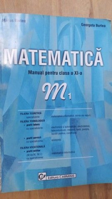 Matematica manual pentru clasa a11-a M1 -Marius Burtea, Georgeta Burtea foto