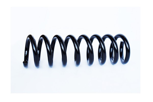 Arc Suspensie Spate 148517 73790