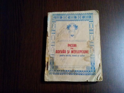 PICURI DE ADEVAR SI INTELEPCIUNE - Capitan N. Cerbulescu - 1923, 216 p. foto