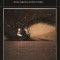 The Shadow of Totalitarianism: Action, Judgment, and Evil in Politics