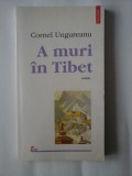 A MURI IN TIBET - CORNEL UNGUREANU