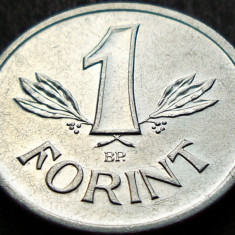 Moneda 1 FORINT - RP UNGARA / UNGARIA, anul 1989 *cod 1060