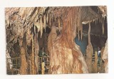 RF90 - Carte Postala - Pestera Ursilor - Chiscau, Bihor, necirculata