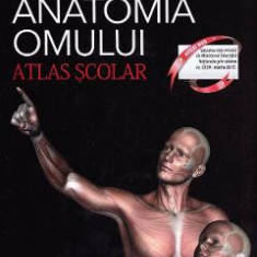Anatomia omului - Atlas Scolar - Florica Tibea