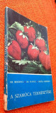 A szamoca termesztese - Gh. Mihaescu, Gh. Stanciu, C. Manescu
