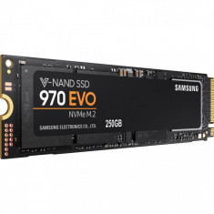 SM SSD 250GB 970EVO M.2 MZ-V7E250BW foto