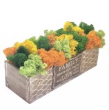 Aranjament floral personalizabil cu licheni stabilizati in cutie cadou, Eventissimi, Multicolor, Eventissimi&reg;