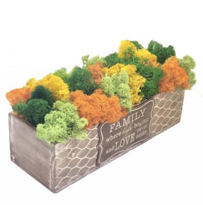Aranjament floral personalizabil cu licheni stabilizati in cutie cadou, Eventissimi, Multicolor foto