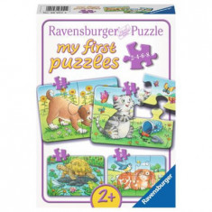 Puzzle - Animale, 2/4/6/8 piese | Ravensburger