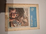 Alexandru vlahuta-mag&icirc;ldea