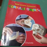 Cumpara ieftin GHI ILUSTRAT PENTRU MONTAREA CORPULUI OMENESC