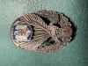 Insigna parasutist militar Cl 1 dupa 1996 varianta 2
