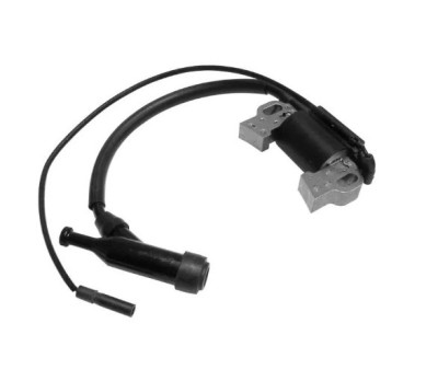 Aprindere Loncin G240, G270 (Originala) foto