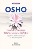 Cum sa-ti linistesti zbuciumul mintii. Legatura dintre meditatie si starea de spirit - Ianina Marinescu, Osho