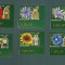 Romania 2013 Flora Ceasul Florilor serie MNH Mac Cicoare Stejarelul LP 1966