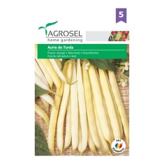 Seminte legume Agrosel, fasole Aurie de Turda