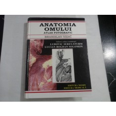ANATOMIA OMULUI - BRANISLAV VIDIC