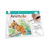 Animale - Gama
