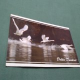 CARTE POSTALA DELTA DUNARII NECIRCULATA