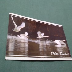 CARTE POSTALA DELTA DUNARII NECIRCULATA