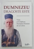 DUMNEZEU DRAGOSTE ESTE , VIATA SI INVATATURA de STARETUL DIONISIE DE LA COLCIU , 2022