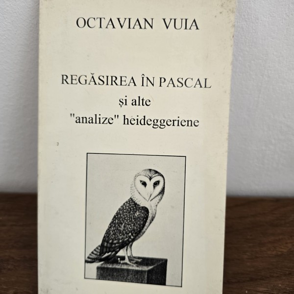 Regasirea in Pascal si alte analize heideggeriene - Octavian Vuia