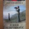 Ioan Grigorescu - Jurnal nediplomatic, 1998-2001