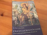 PR.PROF. JOHN BEHR, CRUCEA LUCREAZA IN LUME. OMILII PENTRU PERIOADELE LITURGICE( TRIODUL-PASTELE-CINCIZECIMEA; NASTEREA-BOTEZUL; LA MAICA DOMNULUI)