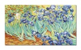 Cumpara ieftin Tablou celebru pictat manual, Irisi la Saint-Remy, 120x70cm ulei pe panza, reproducere Vincent van Gogh