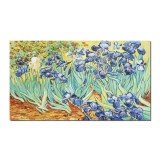 Tablou celebru pictat manual, Irisi la Saint-Remy, 120x70cm ulei pe panza, reproducere Vincent van Gogh
