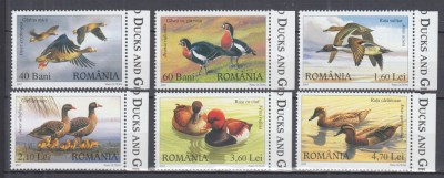 ROMANIA 2007 LP 1771 RATE SI GASTE SALBATICE SERIE MNH foto
