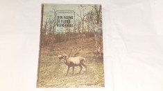 ION SIMIONESCU - DIN FAUNA SI FLORA ROMANIEI foto