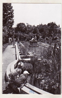 bnk cp Cluj - Aspect din Gradina botanica - uzata foto