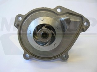 MOTAQUIP VWP923 Pompă de apă, răcire motor foto