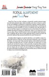 Podul suspendat peste fluviul amar | Dang Thuy Tram, Ideea Europeana