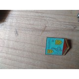 Insigne Pionieri Pionier Intrpret 2