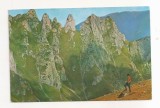 RF107 - Carte Postala - Muntii Bucegi. Coltii Morarului, circulata